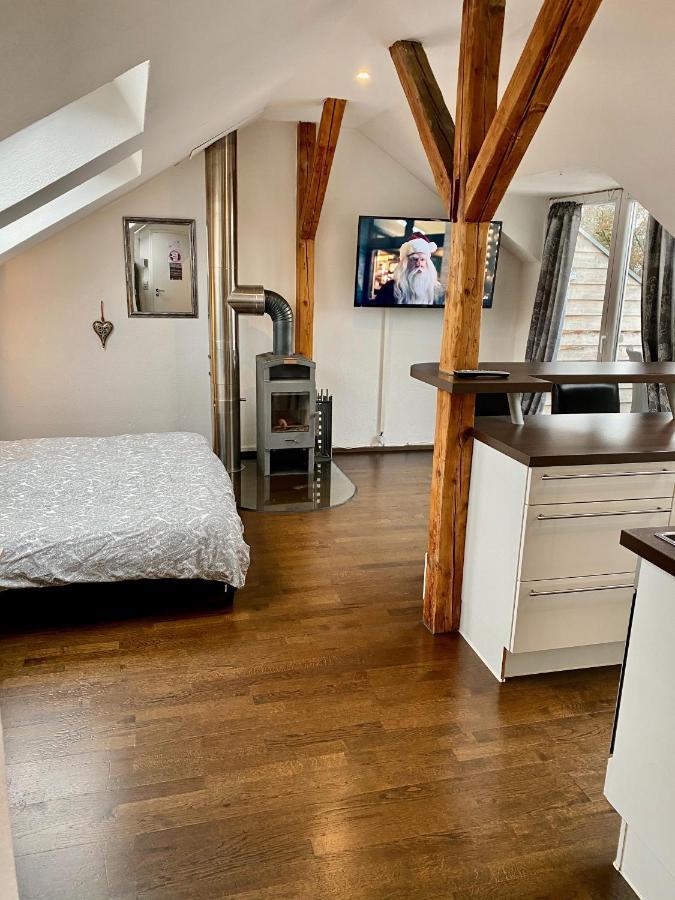 Appartement Wohnen Ueber Den Daechern Von Ravensburg, Stadtnah, Kamin, Klima Extérieur photo