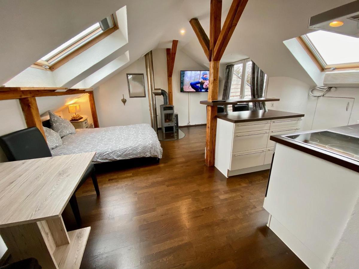 Appartement Wohnen Ueber Den Daechern Von Ravensburg, Stadtnah, Kamin, Klima Extérieur photo